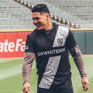 Loswhitesox Black and Gray Men's Jersey